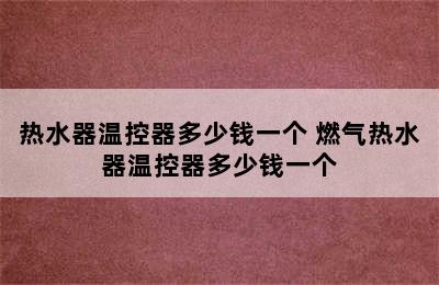 热水器温控器多少钱一个 燃气热水器温控器多少钱一个